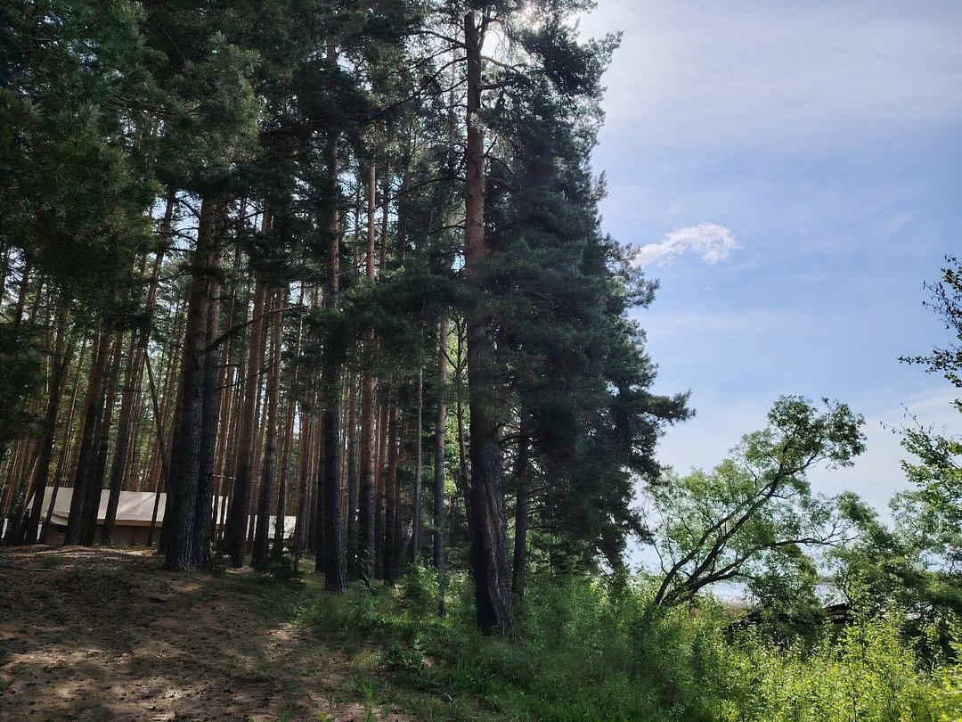 Edimonovo Glamp, Тверская область: фото 5