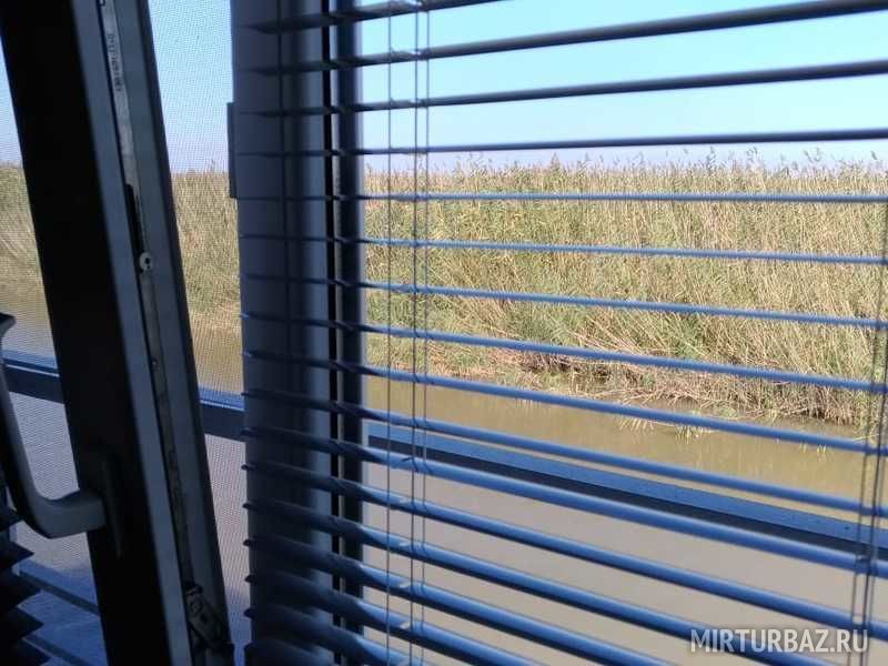 Пиранья-дельта, Астраханская область: фото 4