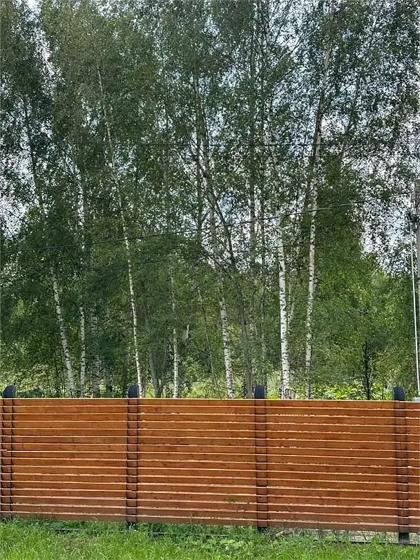 MODOM Village, Московская область: фото 3