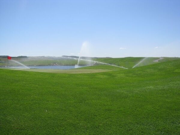 газон поливается