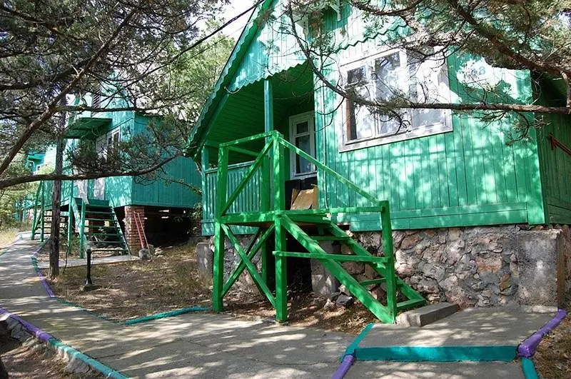 Дельфин, Крым: фото 5