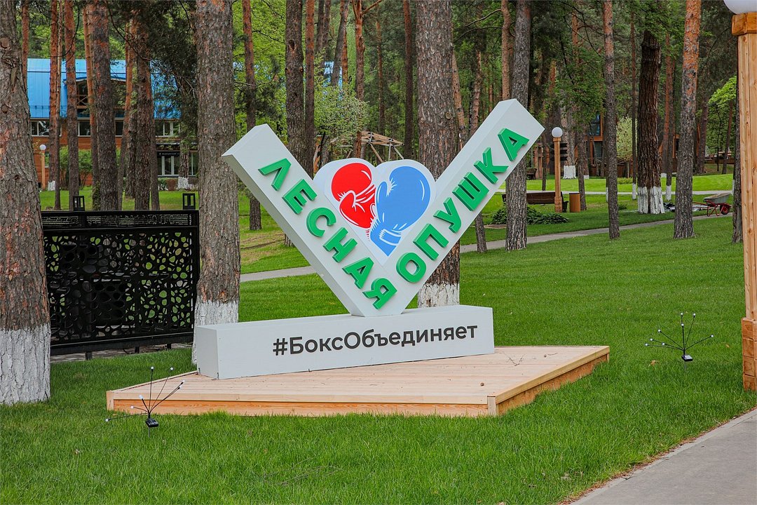 Гостиница Спортивная база "Лесная Опушка", Московская область, Серпухов 