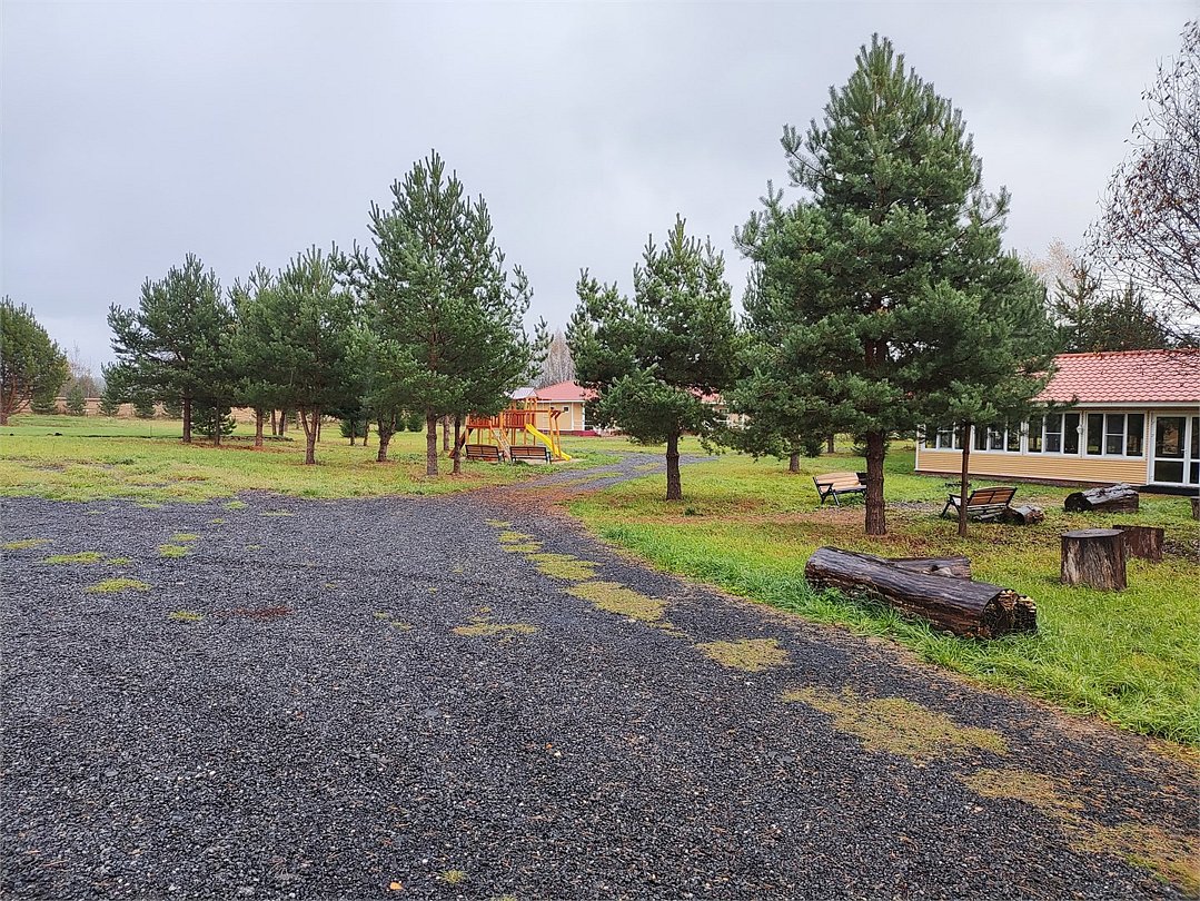 Деревенька в лесу, Московская область: фото 5