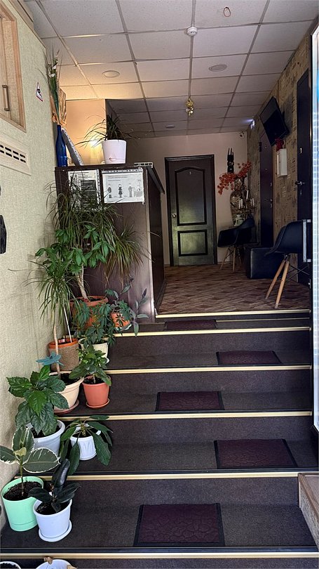 Леон, Московская область: фото 3