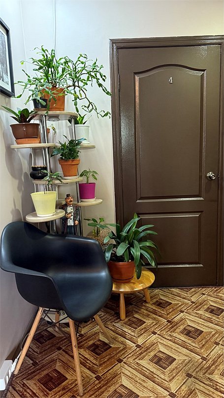 Леон, Московская область: фото 5