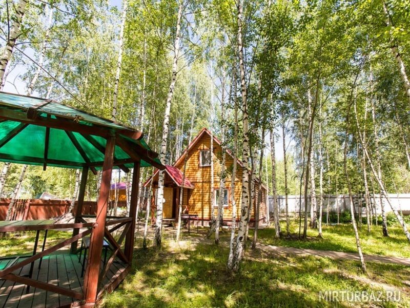 Березовый рай, Владимирская область: фото 3