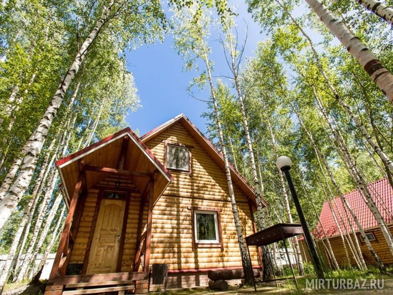 Березовый рай, Владимирская область: фото 4