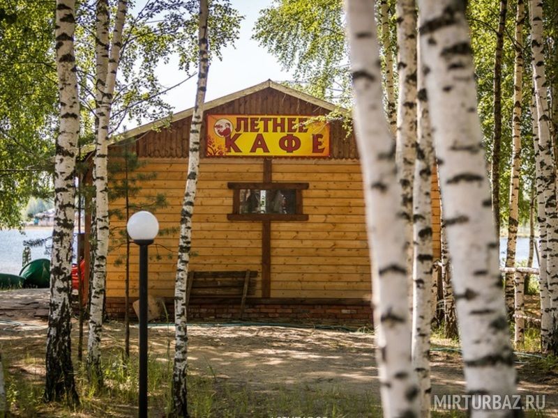 Березовый рай, Владимирская область: фото 5