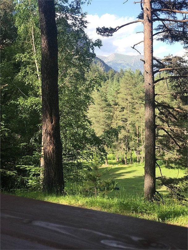 Белый волк, Республика Карачаево-Черкесия: фото 3