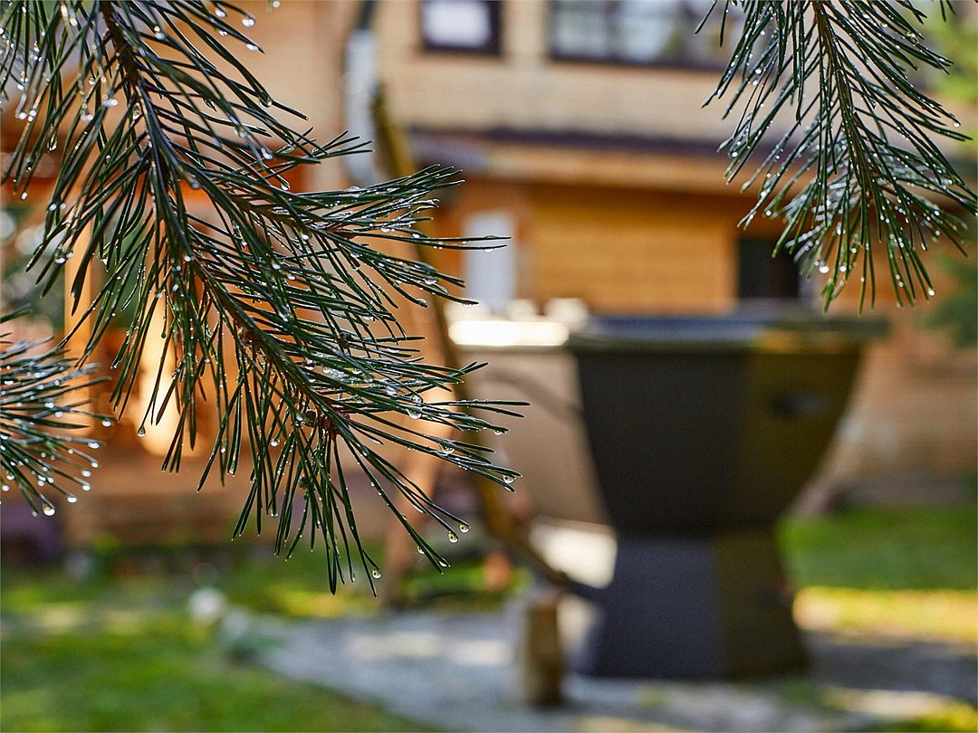 Богослово Экопарк, Владимирская область: фото 2