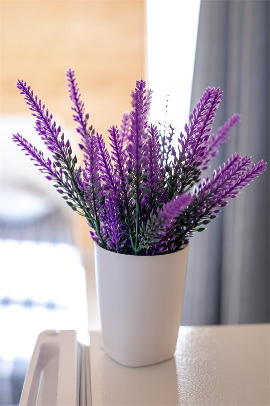 ГрандЛодж, Краснодарский край: фото 2