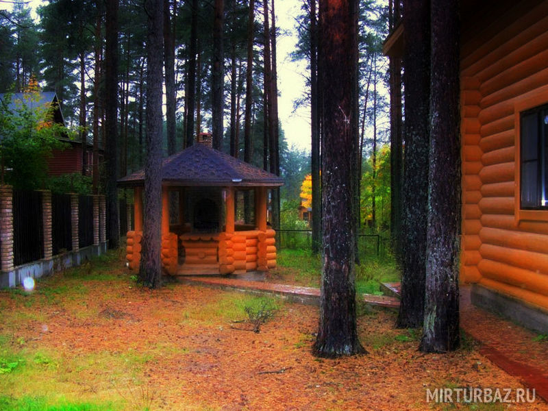 Глухарь, Ленинградская область: фото 5