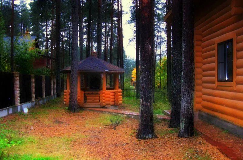 Глухарь, Ленинградская область: фото 5