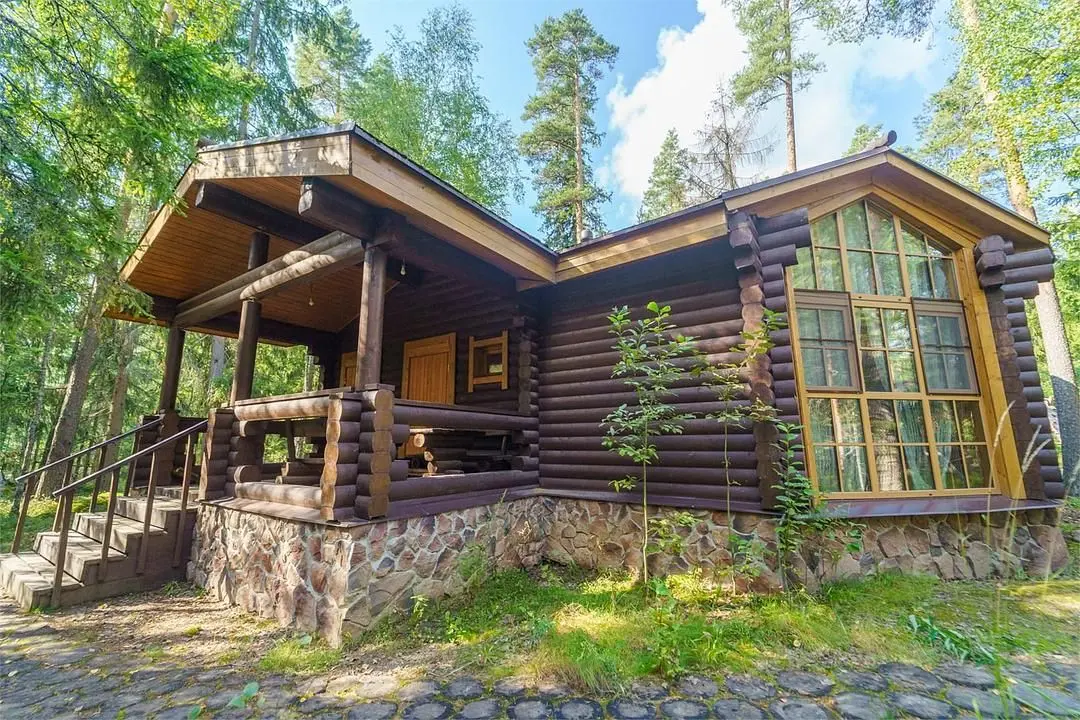 Шишки на Лампушке, Ленинградская область: фото 2