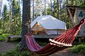 Глемпинг в лесу (от 14 лет), База отдыха Шишки на Лампушке, Раздолье