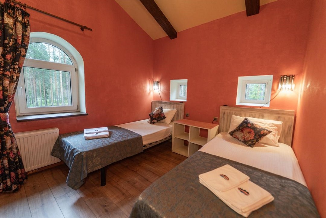 Шишки на Лампушке, Ленинградская область: фото 2