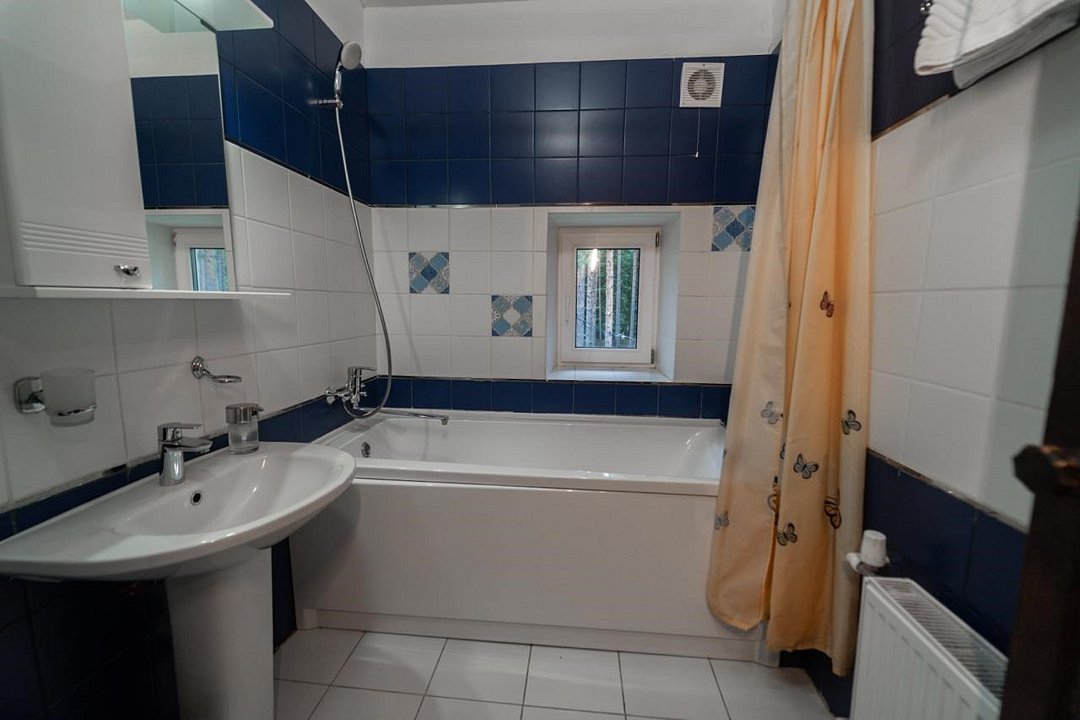 Шишки на Лампушке, Ленинградская область: фото 5