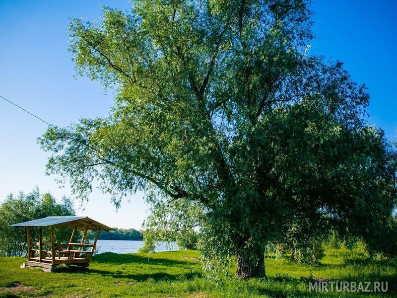 Велес, Омская область: фото 4