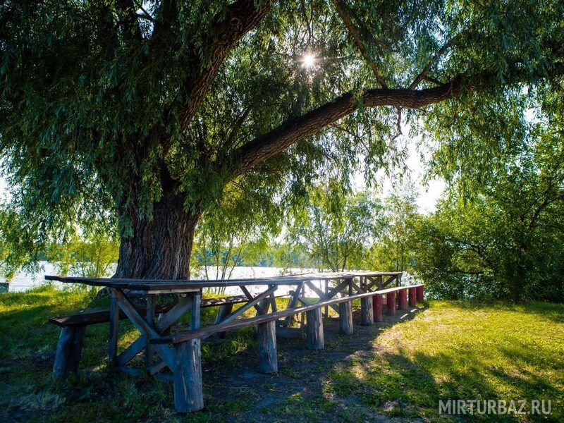 Велес, Омская область: фото 5