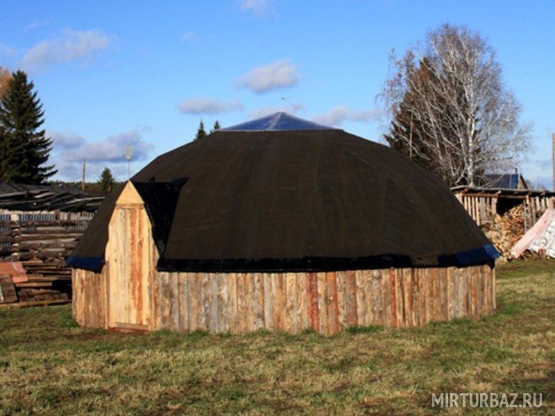 Лотос, Омская область: фото 5