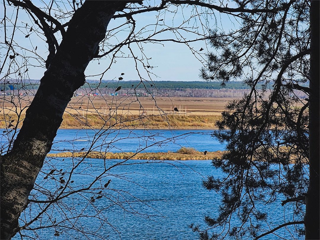 «ВМесте» Глэмпинг парк, Томская область: фото 2