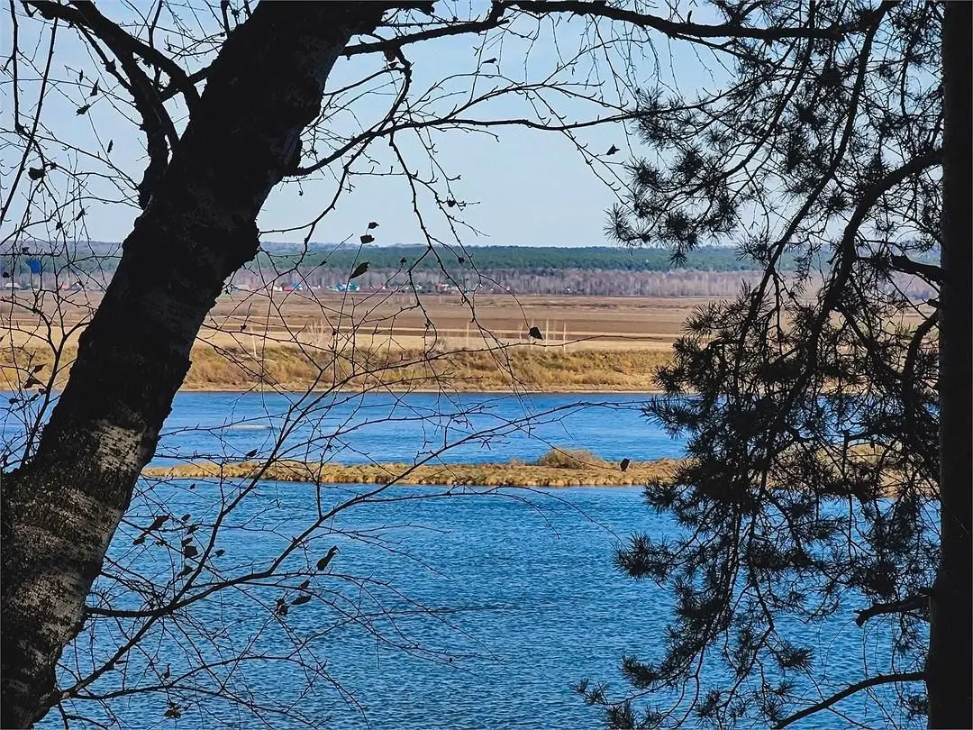 «ВМесте» Глэмпинг парк, Томская область: фото 2