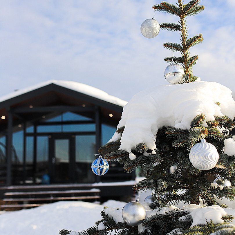 Домик в Икше, Московская область: фото 2