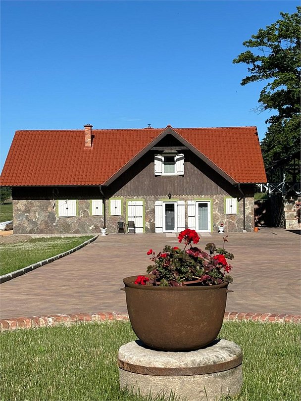 Белый филин, Калининградская область: фото 2