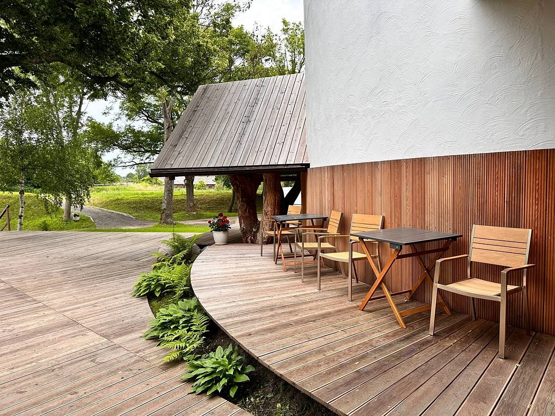 Белый филин, Калининградская область: фото 4