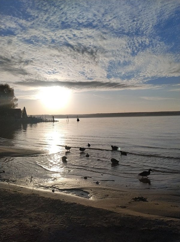 Борвиха, Республика Татарстан: фото 4