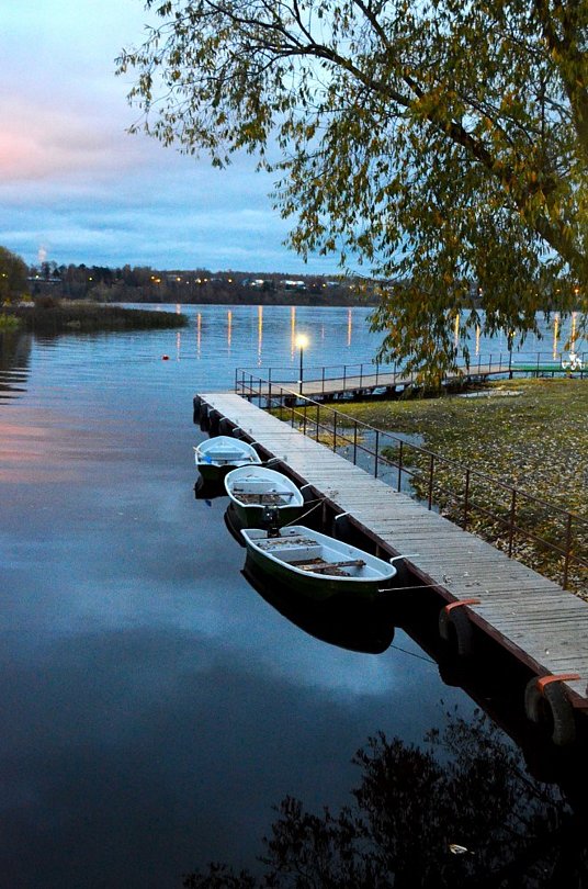 Александров Залив, Костромская область: фото 4