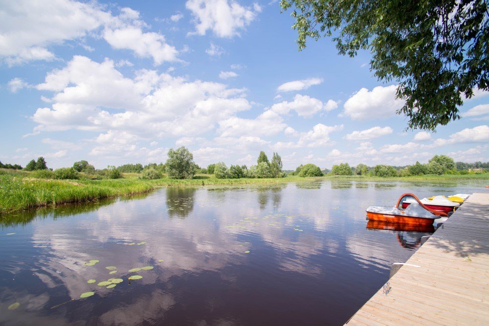 Александров Залив, Костромская область: фото 5