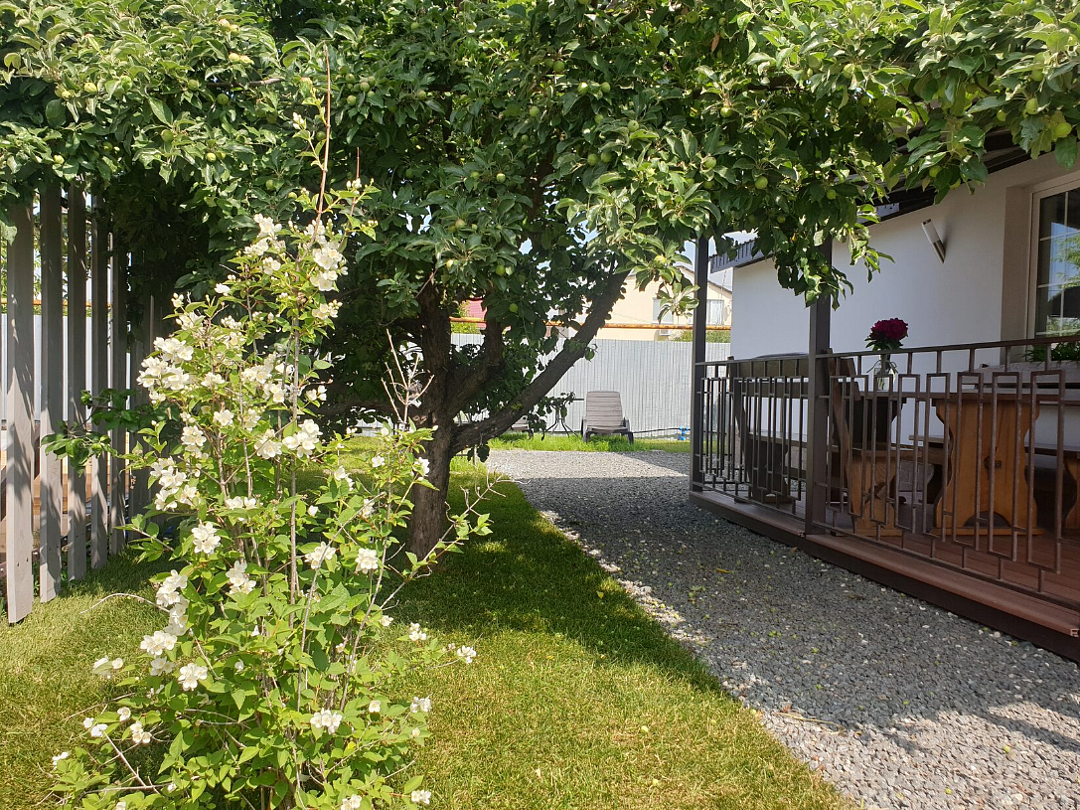 Zvezda Village, Саратовская область: фото 2