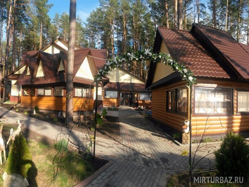 Сосновка, Брянская область: фото 2