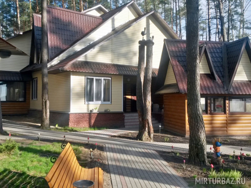 Сосновка, Брянская область: фото 4