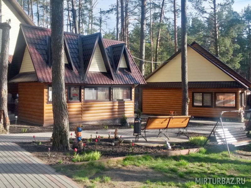 Сосновка, Брянская область: фото 3