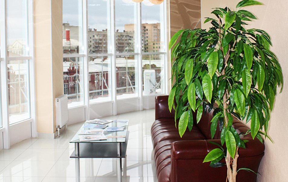 Тур в Астрахань, Астраханская область: фото 5