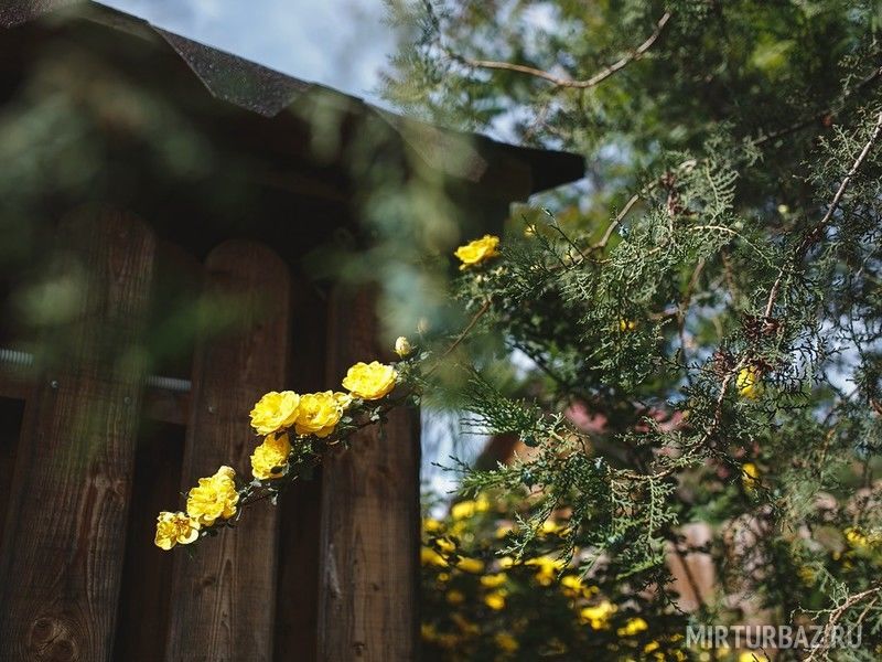 Рыбное место, Астраханская область: фото 4