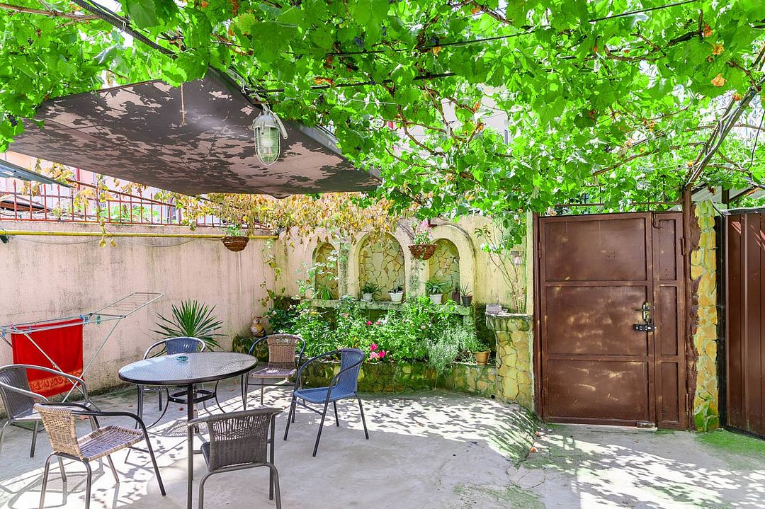 Филин, Краснодарский край: фото 3