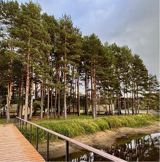 Берег Мологи, Тверская область: фото 5