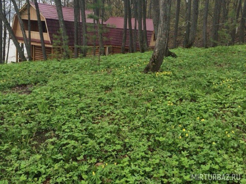 Ясная поляна, Республика Башкортостан: фото 4