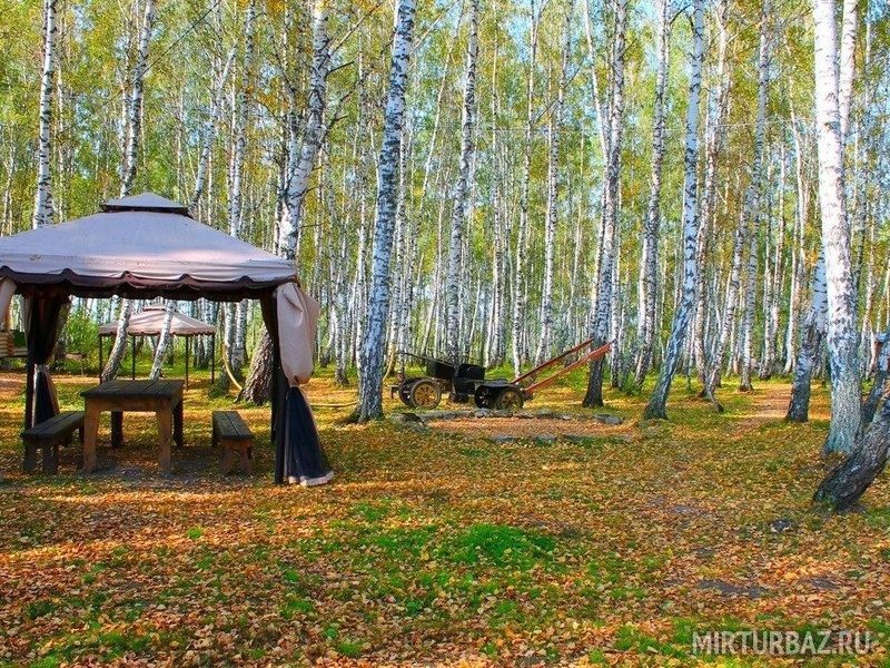 Арчекас, Кемеровская область: фото 3