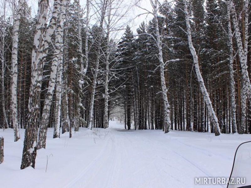 Арчекас, Кемеровская область: фото 5