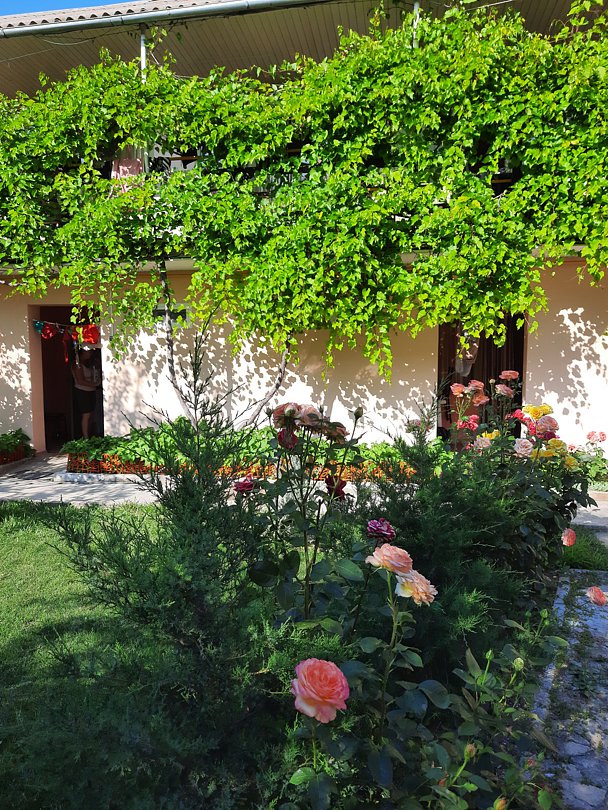 Жемчужина моря, Крым: фото 3