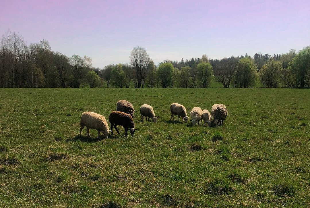 Vilajoki Agro, Ленинградская область: фото 4