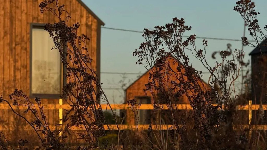 Глэмпинг Белый сад, Тамбов, Тамбовская область