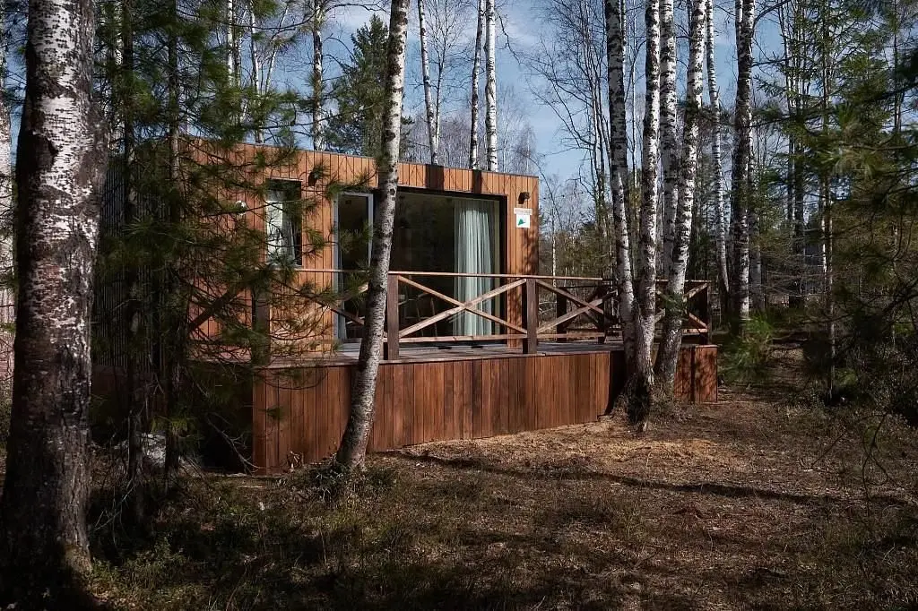 Снежные Гуси в Байкальске, Иркутская область: фото 2