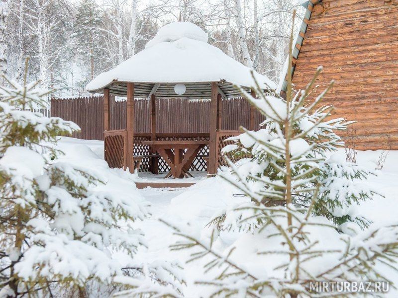 Метелица, Челябинская область: фото 5