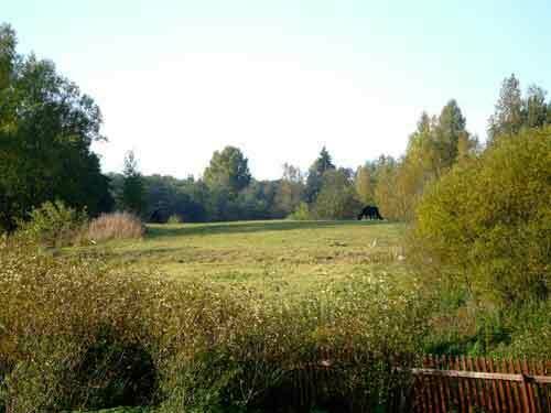 Территория | Русская деревня, Новгородская область