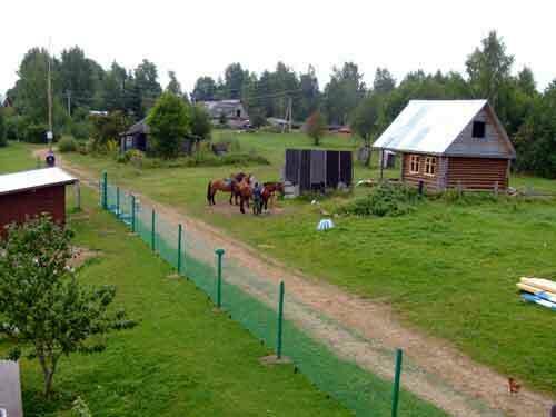 Территория | Русская деревня, Новгородская область